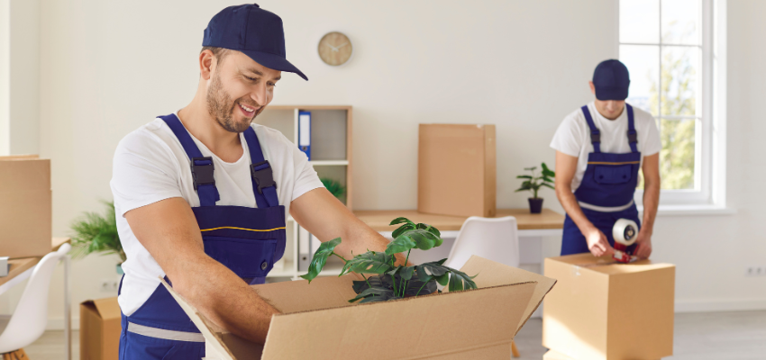 Professional Packing & Unpacking Services in Noida